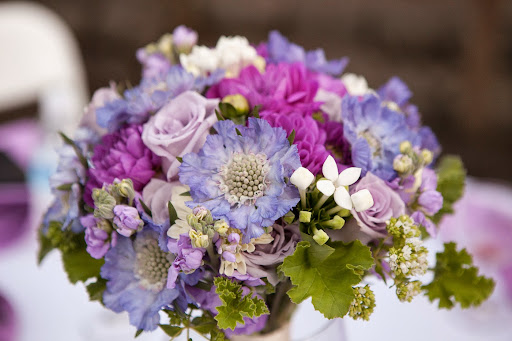 Florist «Floral Sunshine», reviews and photos, 1991 NW Upshur St f, Portland, OR 97209, USA