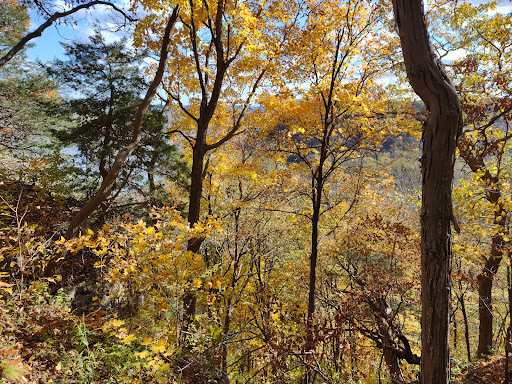 National Park «Effigy Mounds National Monument», reviews and photos, 151 IA-76, Harpers Ferry, IA 52146, USA