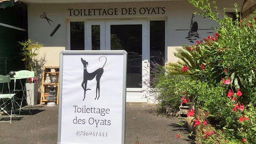 Toilettage des Oyats à Arès