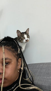 Sheik's Sanctuary Pet Sitting & Dog Walking - Photo 5 - Car repair in Chicago, IL, Chicago