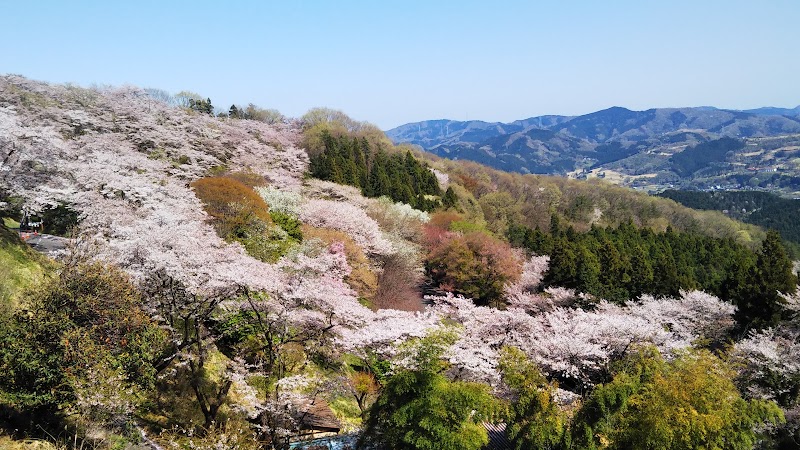 桜山公園山頂