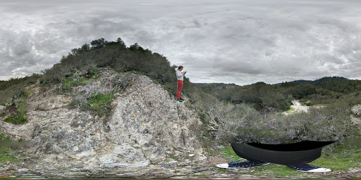 National Forest «Petrified Forest», reviews and photos