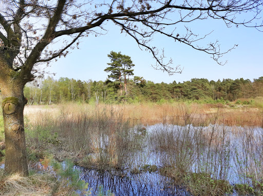 Naturschutzgebiet Schnaakenmoor