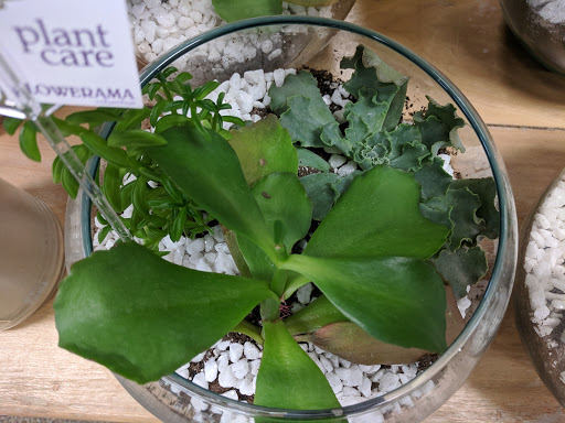 Florist «Flowerama Florist: Westerville», reviews and photos, 635 S State St, Westerville, OH 43081, USA