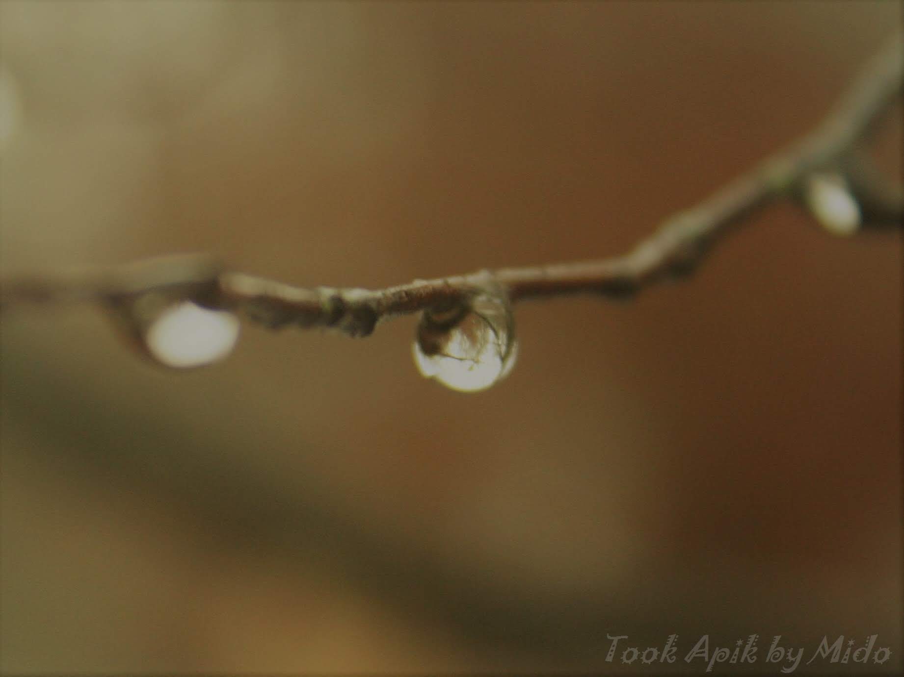 Photo n° 24 de l'avis de Mi.o fait le 26/06/2019 à 06:26