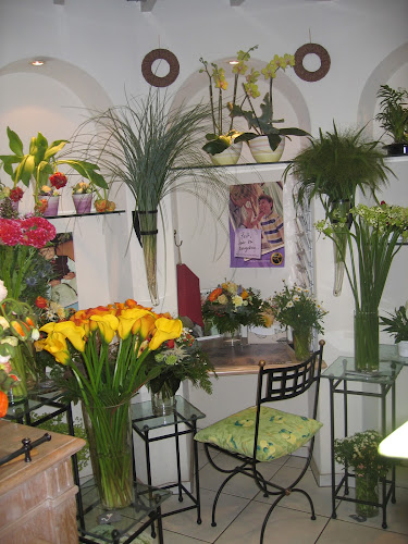 Rezensionen über Atelier Leutwyler / Decoshop u. Fleurop Partner in Ebikon bei Luzern, Dried Flowers Florist Designer in Luzern - Blumengeschäft