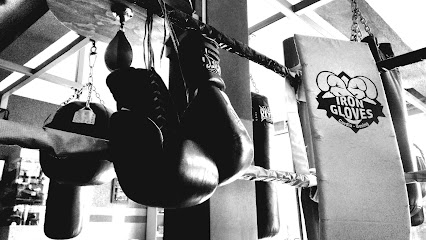 IRON GLOVES CARDIO-BOXING