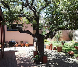 Crisley Guest House, B&B and Restaurant photo