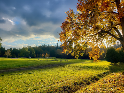 Park «Marymoor Park», reviews and photos, 6046 West Lake Sammamish Pkwy NE, Redmond, WA 98052, USA