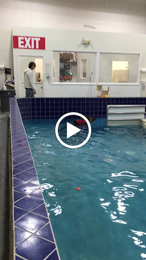 Pet Supply Store «Pet Depot Inc», reviews and photos, 2151 Greenspring Dr, Lutherville-Timonium, MD 21093, USA