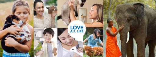 Malaysian National Animal Welfare Foundation (MNAWF)