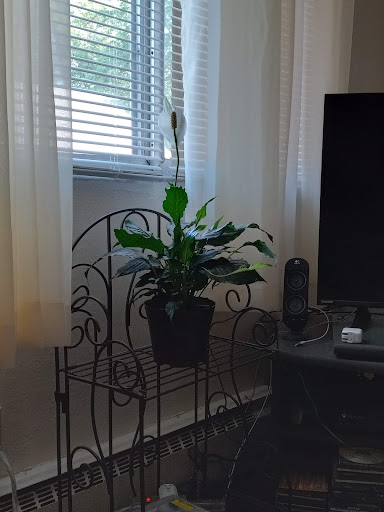 Home Improvement Store «The Home Depot», reviews and photos, 810 S Taylor St, Green Bay, WI 54303, USA