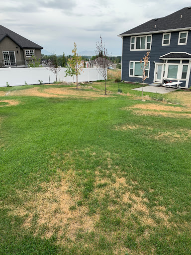 Landscaper «Elite Grounds L.C.», reviews and photos, 800 S Main St, Pleasant Grove, UT 84062, USA