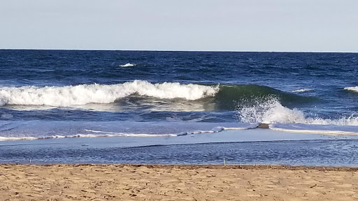 Army & Navy Surplus Shop «Navy Exchange-Dam Neck Annex», reviews and photos, 1977 Terrier Ave, Virginia Beach, VA 23461, USA