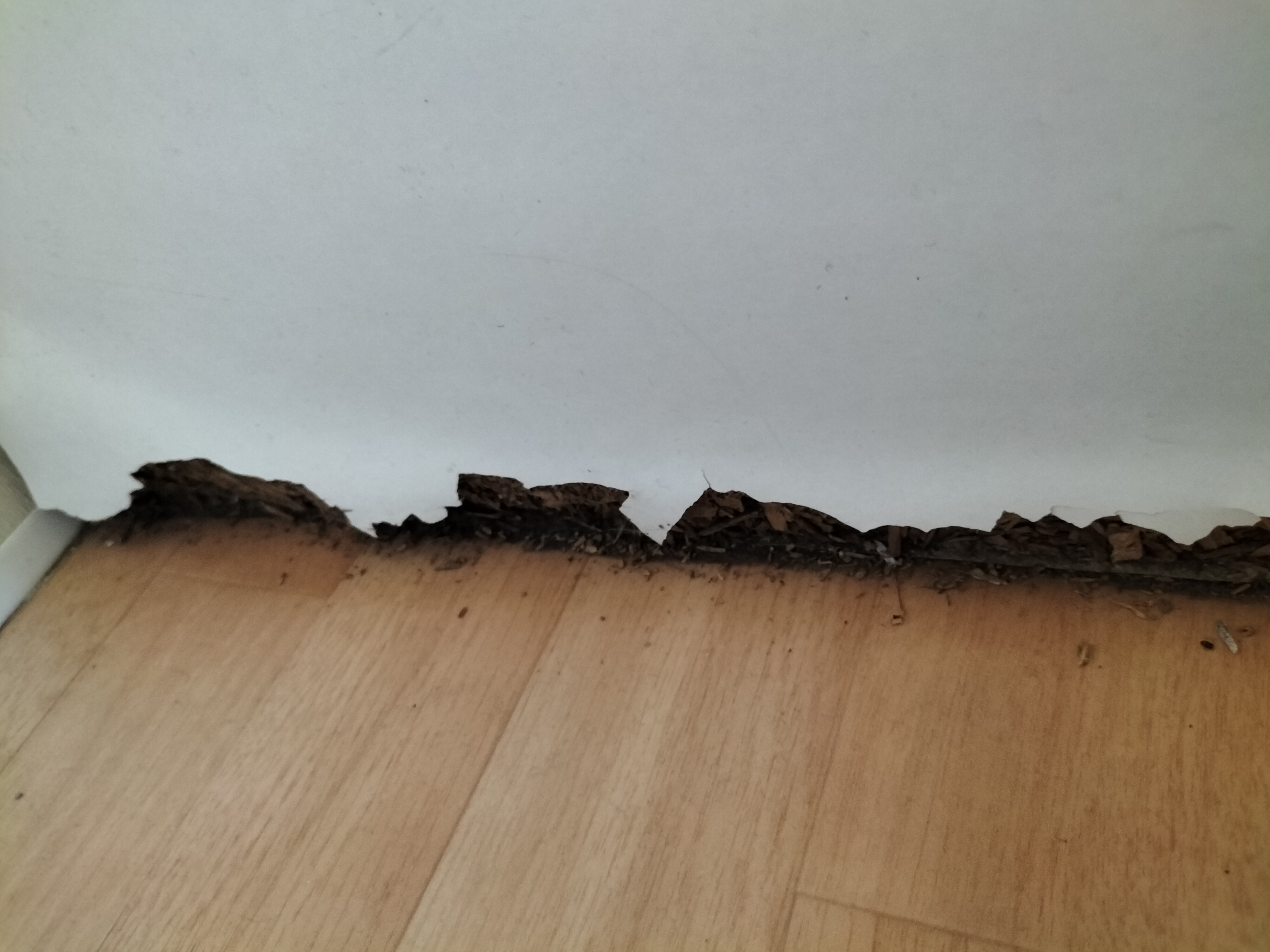 Photo n° 4 de l'avis de Noémie.a fait le 14/07/2022 à 15:25
