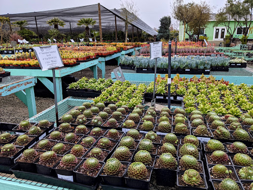 Terra Bella Nursery, Inc. image
