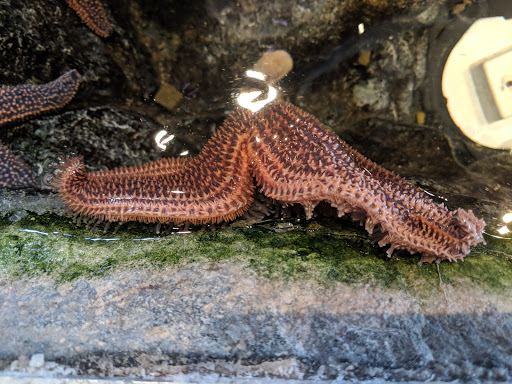 Science Museum «ECHO, Leahy Center for Lake Champlain», reviews and photos, 1 College St, Burlington, VT 05401, USA