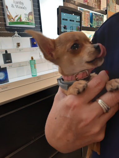 Cosmetics Store «SEPHORA», reviews and photos, 7479 N Kendall Dr, Miami, FL 33156, USA