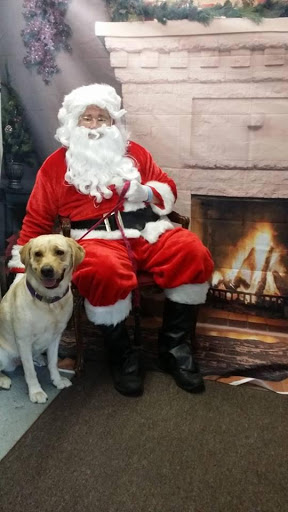 Pet Supply Store «Cheshire Cat & Dog Too», reviews and photos, 1320 Waterbury Rd, Cheshire, CT 06410, USA