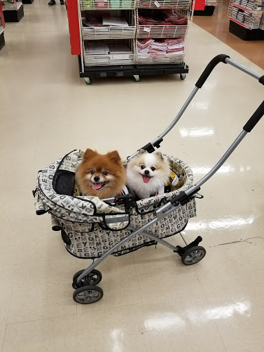 Craft Store «Michaels», reviews and photos, 465 River Rd, Edgewater, NJ 07020, USA