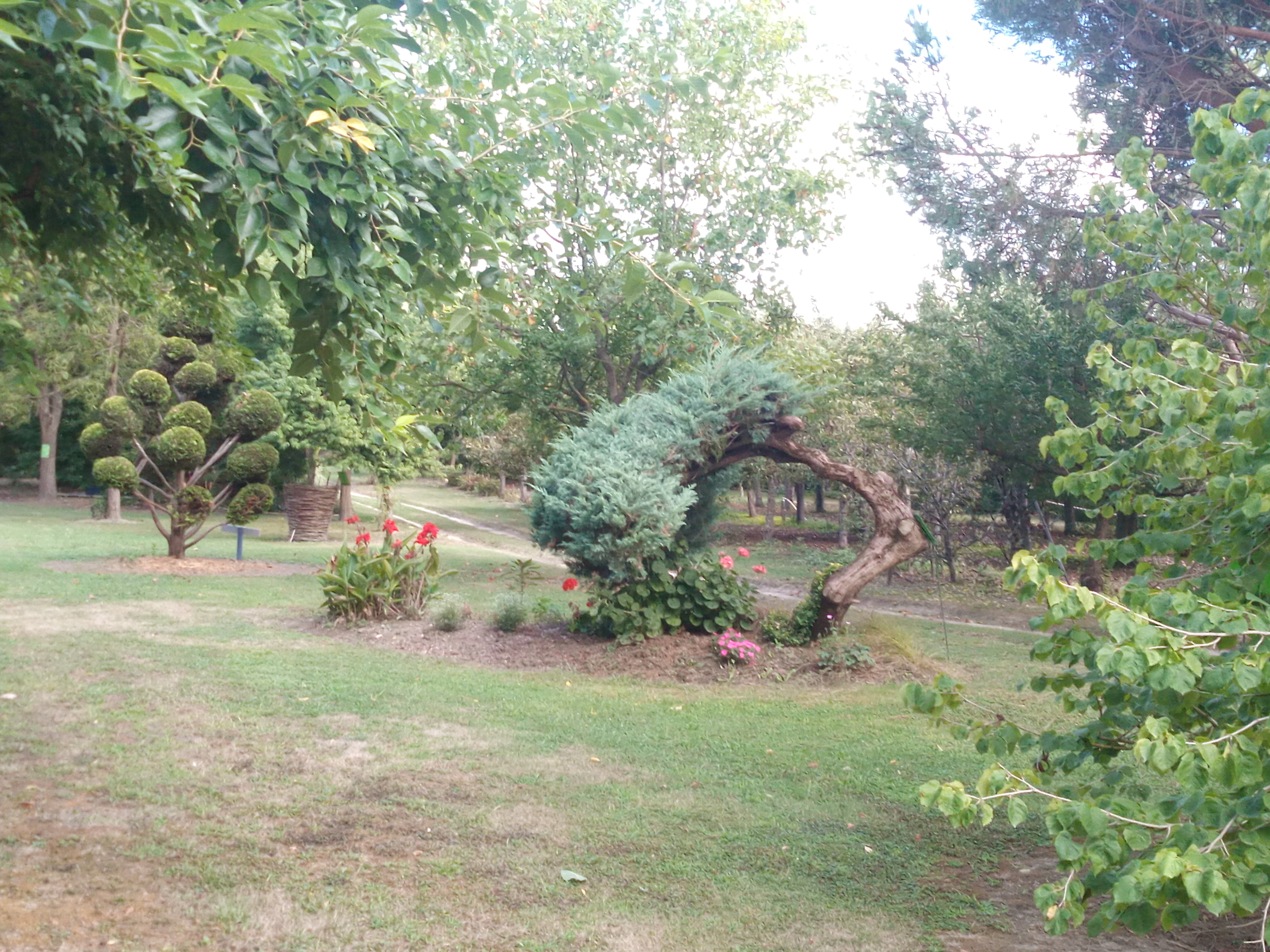 Photo n° 1 de l'avis de Cathy.a fait le 23/08/2020 à 16:53