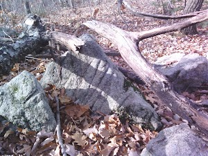 Cavern Rock Area - photo 6