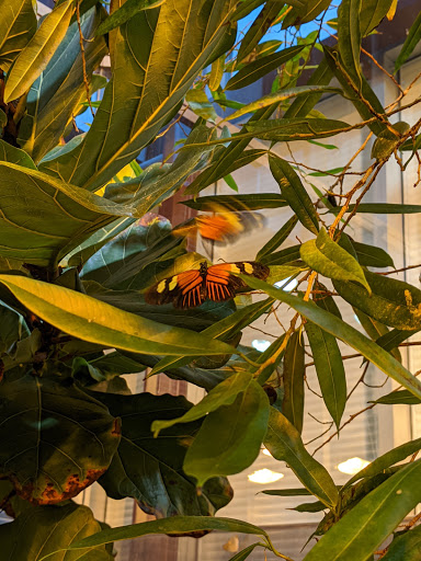 Imax Theater «The National Geographic Dome Theater & Daniel M. Soref Planetarium», reviews and photos, 800 W Wells St, Milwaukee, WI 53233, USA