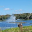 Cooter Pond Park