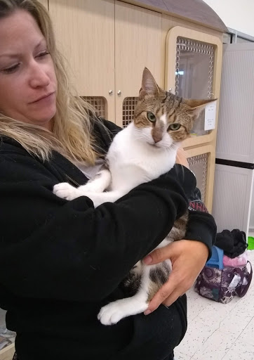 Pet Supply Store «Petco Animal Supplies», reviews and photos, 4755 U.S. 9, Howell, NJ 07731, USA