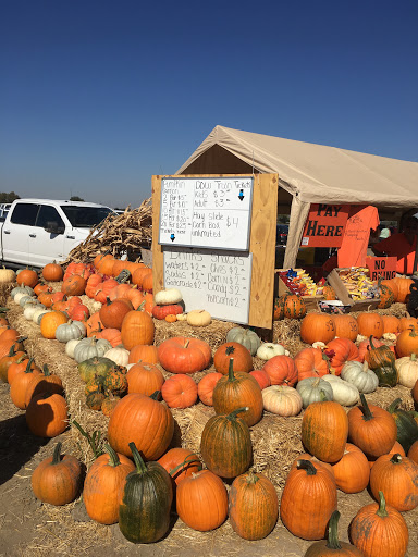 Shopping Mall «Park Place 2 Shopping Center», reviews and photos, 4690 Natomas Blvd, Sacramento, CA 95835, USA