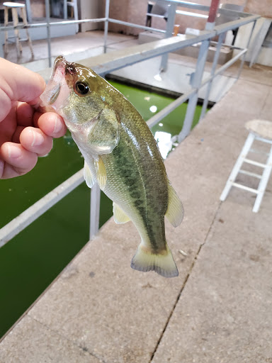 Central Texas Sportsman Club