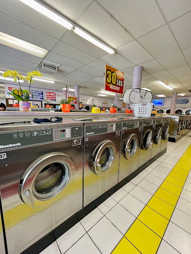Soapy Lee Coin Laundry