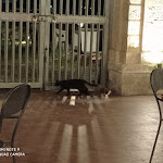 Photo n°1 de l'avis de Francesca.i fait le 09/08/2020 à 20:48 sur le  La Locanda Del Borgo à Lecce