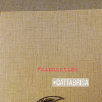 Photo n°2 de l'avis de Nidia.o fait le 15/02/2019 à 21:53 sur le  Gattabriga à Levanto