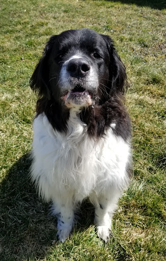 Pet Supply Store «Pet Supplies Plus», reviews and photos, 220 Market Dr, Elyria, OH 44035, USA