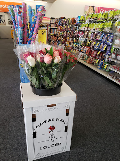 Drug Store «CVS», reviews and photos, 1137 S Dobson Rd #10, Mesa, AZ 85202, USA