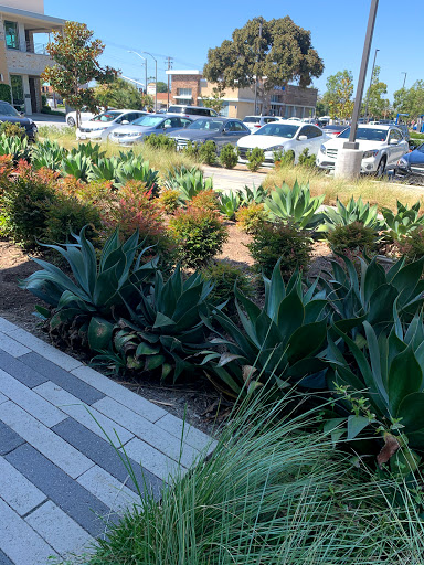 Coffee Shop «Kéan Coffee», reviews and photos, 2043 Westcliff Dr #100, Newport Beach, CA 92660, USA