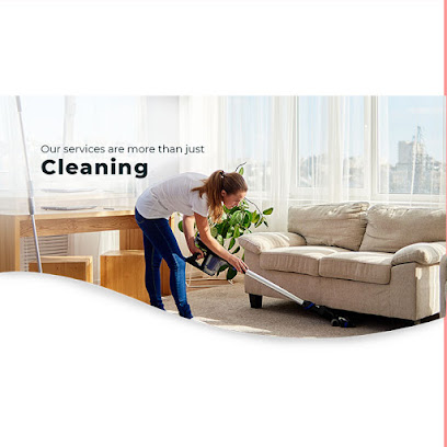 Natural North Carpet Cleaning