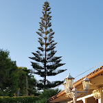 Photo n°10 de l'avis de NICOLA.O fait le 03/08/2020 à 12:49 sur le  Hotel Ristorante Costa Azzurra à Pulsano