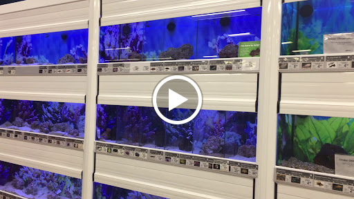 Pet Supply Store «Petco Animal Supplies», reviews and photos, 2765 Santa Rosa Ave, Santa Rosa, CA 95407, USA