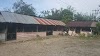 Rumah Makan Jahir Tombur Bpk Gultom Logo, ፓራፓት, Indonesia, Restaurant