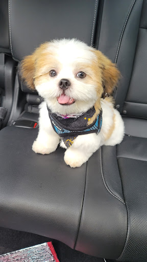 Pet Supply Store «Lil Rascals», reviews and photos, 10035 Gulf Center Dr #105, Fort Myers, FL 33913, USA