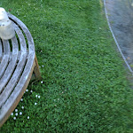 Photo n°8 de l'avis de Franz.� fait le 02/06/2019 à 22:23 sur le  Forsthaus am Schloss Sommerswalde à Oberkrämer