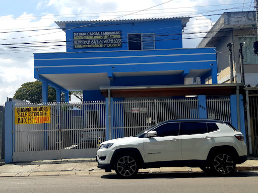 Logo da empresa - DITINHO CARGAS ,MUDANÇAS E GUARDA MÓVEIS