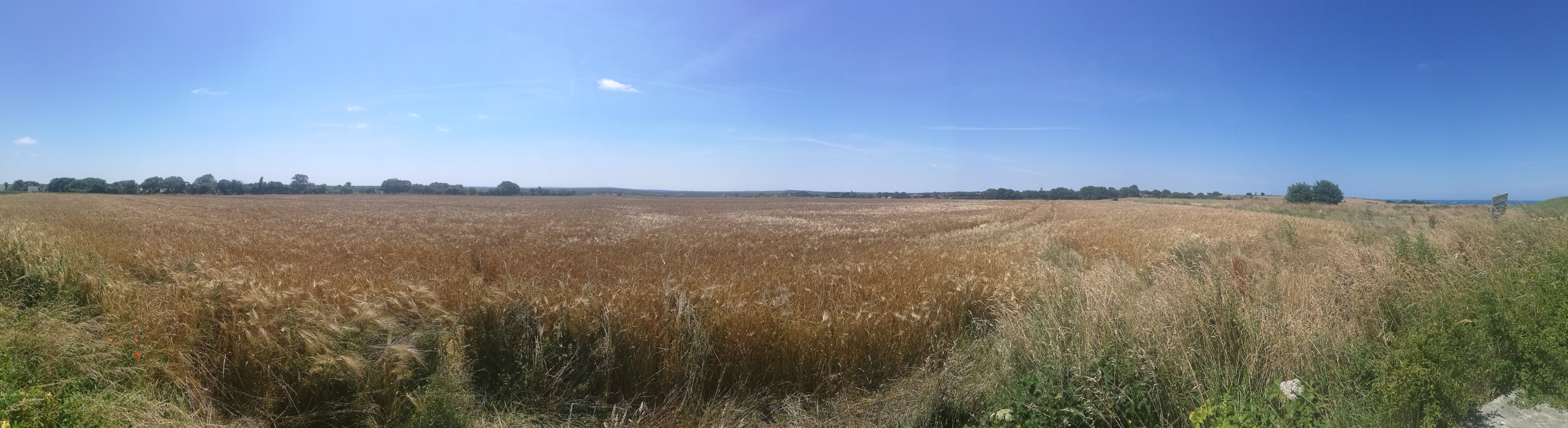 Photo n° 1 de l'avis de Brian.o fait le 14/07/2018 à 15:31