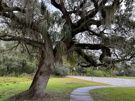 Park «Boyette Springs Park», reviews and photos, 10423-10425 Deepbrook Dr, Riverview, FL 33569, USA