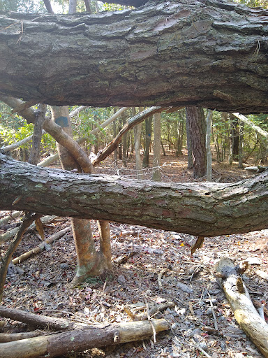 Nature Preserve «Eldora Nature Preserve», reviews and photos, 2350 NJ-47, Delmont, NJ 08314, USA