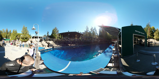 Vancouver Aquarium