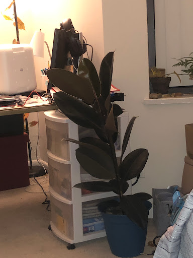 Home Improvement Store «The Home Depot», reviews and photos, 400 N Highland Ave, Pittsburgh, PA 15206, USA