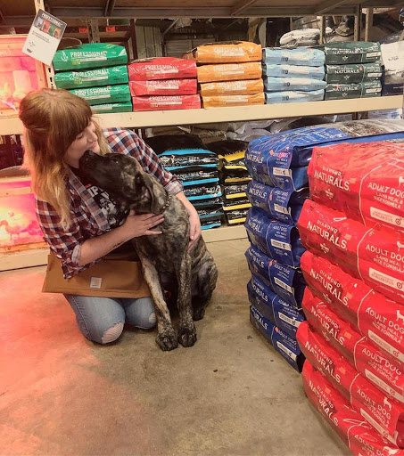 Pet Supply Store «Elverta Feed Pet & Tack Inc», reviews and photos, 7831 Rio Linda Blvd, Elverta, CA 95626, USA